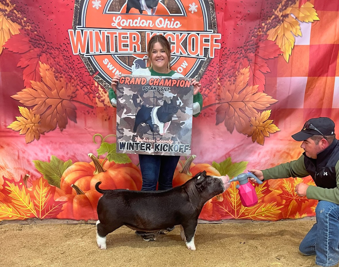 Champion Poland gilt — 2025 Ohio Winter Jackpots — Shown by Hadley Germann