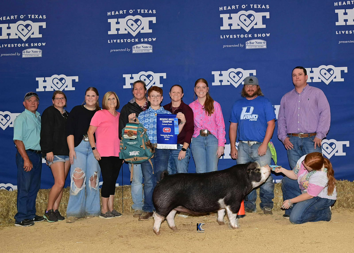Reserve Champion Poland gilt — 2025 Heart of Texas, Waco — Shown by Asher Jones