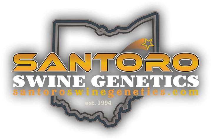 Santoro Swine Genetics logo
